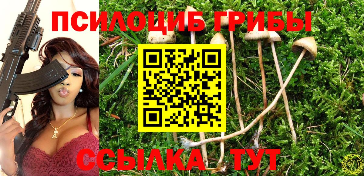 наркотики  Вход с VPN  Майкоп  Галлюциногенные грибы мухоморы 