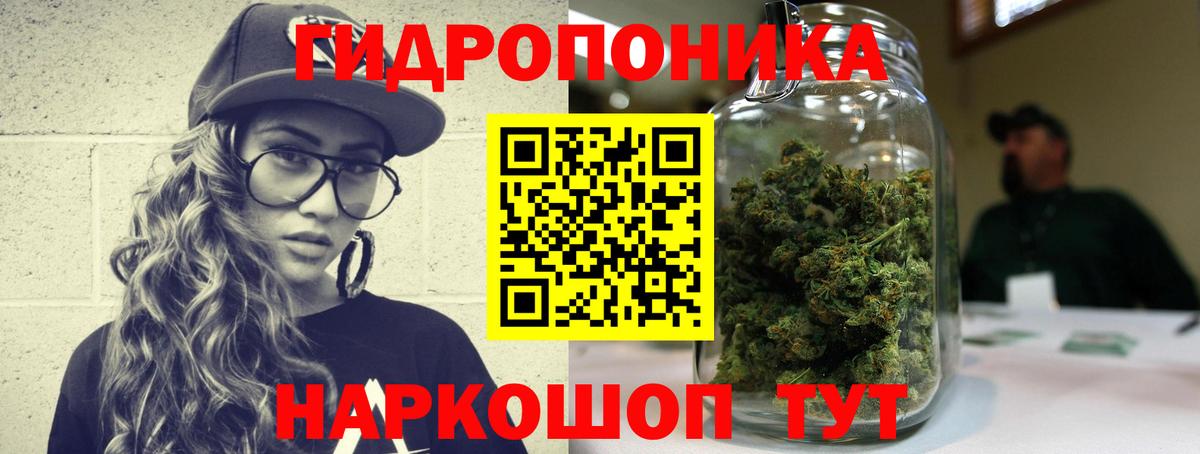 Бошки марихуана MAZAR Майкоп